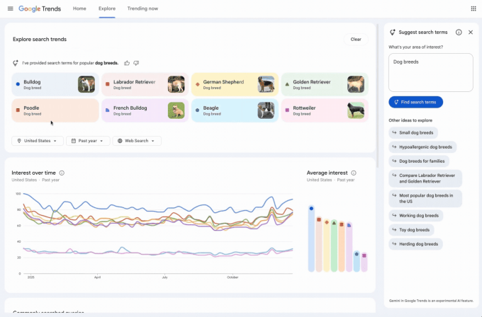 What Gemini Actually Does on Trends Explore - contextual illustration