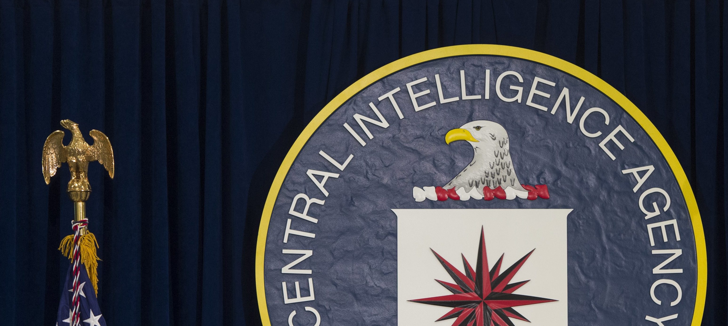 Looking Ahead: 2025 and Beyond - visual representation