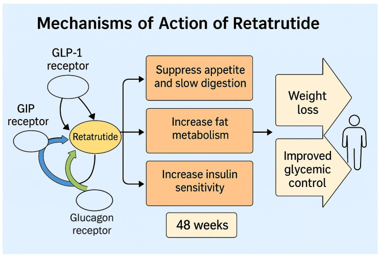 The Economics: Why Gray-Market Peptides Exist - visual representation