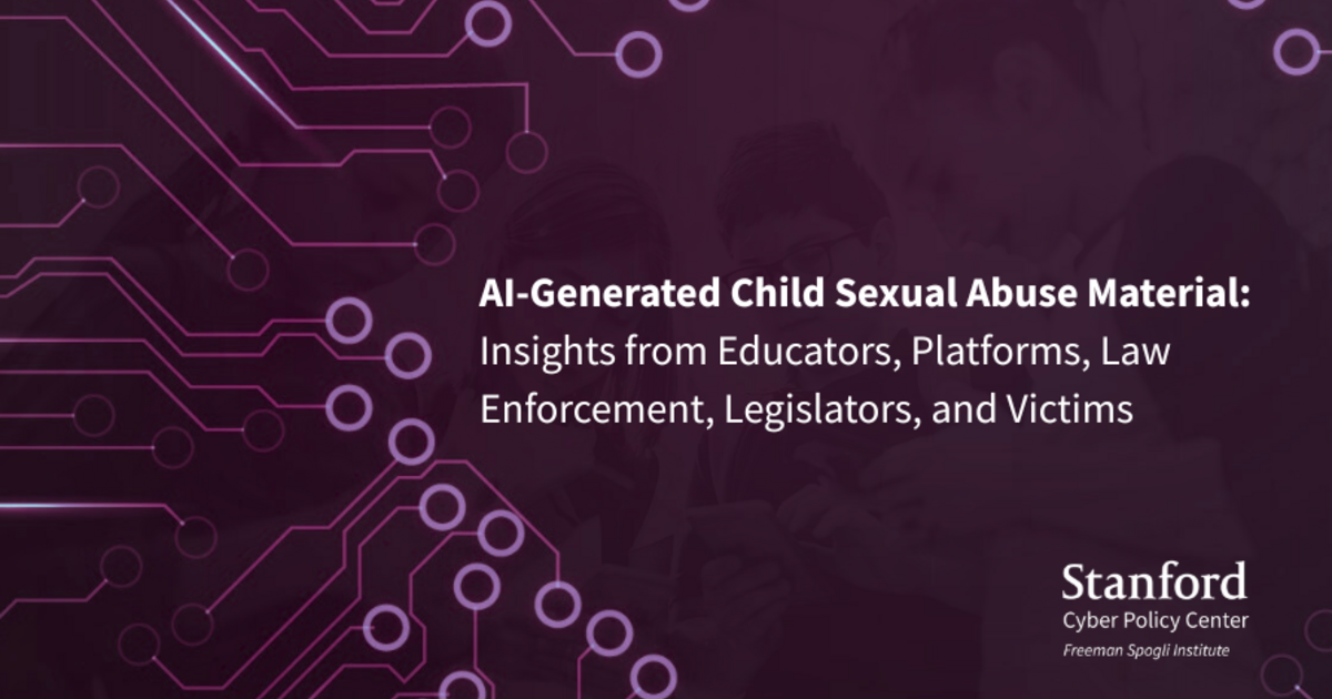 Expert Perspectives on the Broader Implications - visual representation