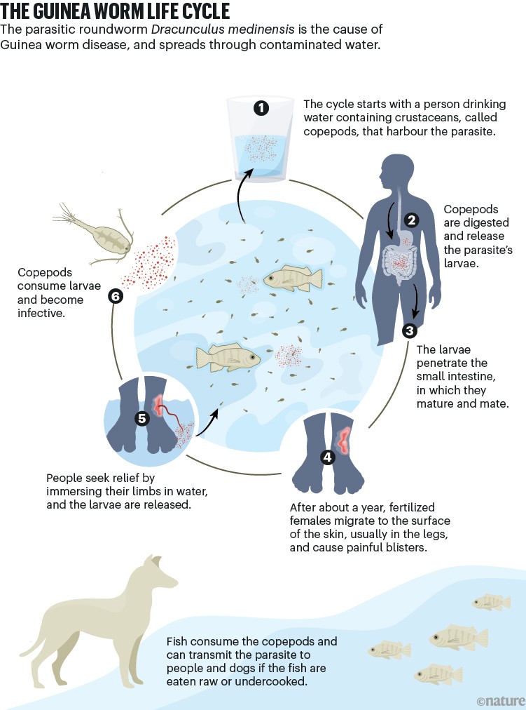 The 2025 Milestones and What They Mean - visual representation