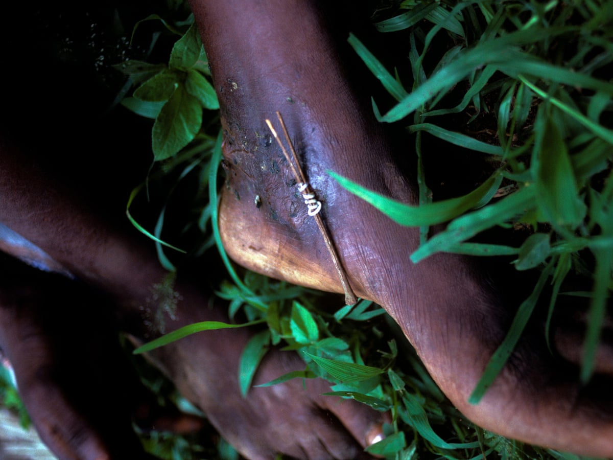 The Biological and Epidemiological Realities - visual representation