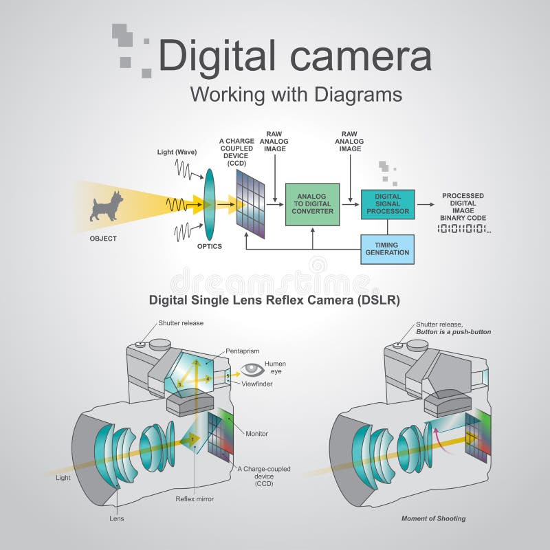 Understanding the Analog-to-Digital Bridge - contextual illustration