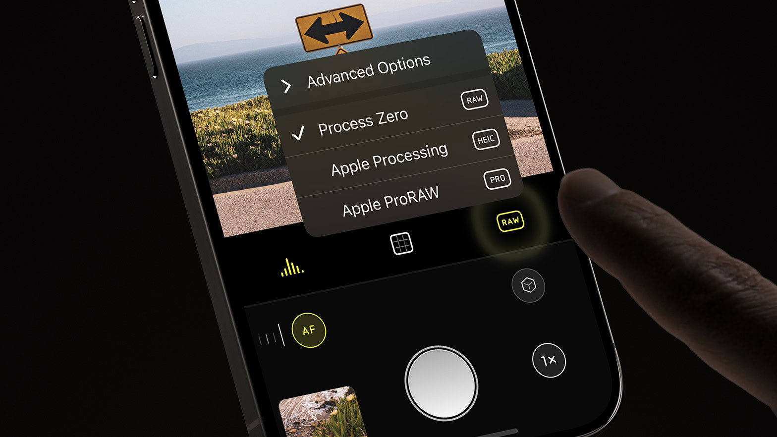 Pro RAW Support in Process Zero: The Hybrid Approach - visual representation