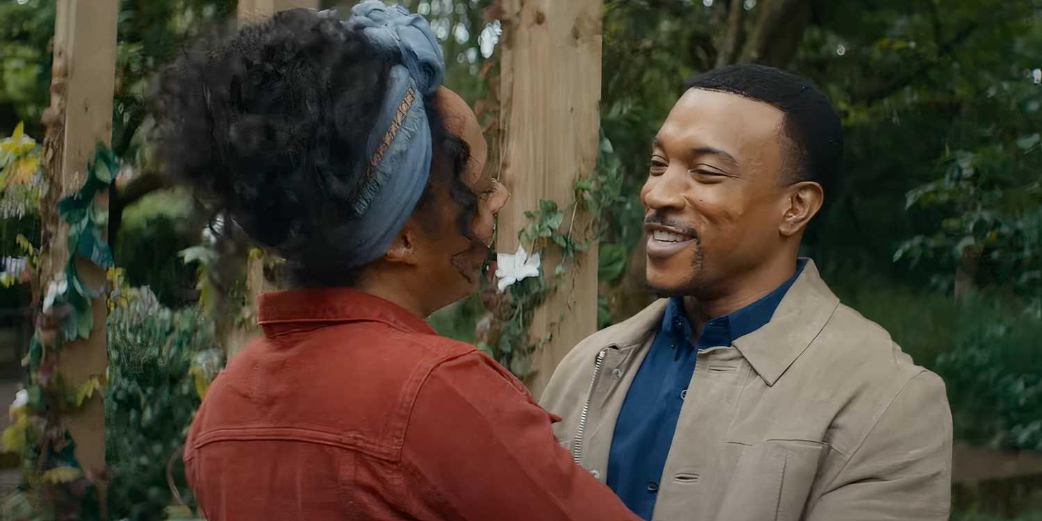 Diane's Plan: How Did She Pull This Off? - visual representation