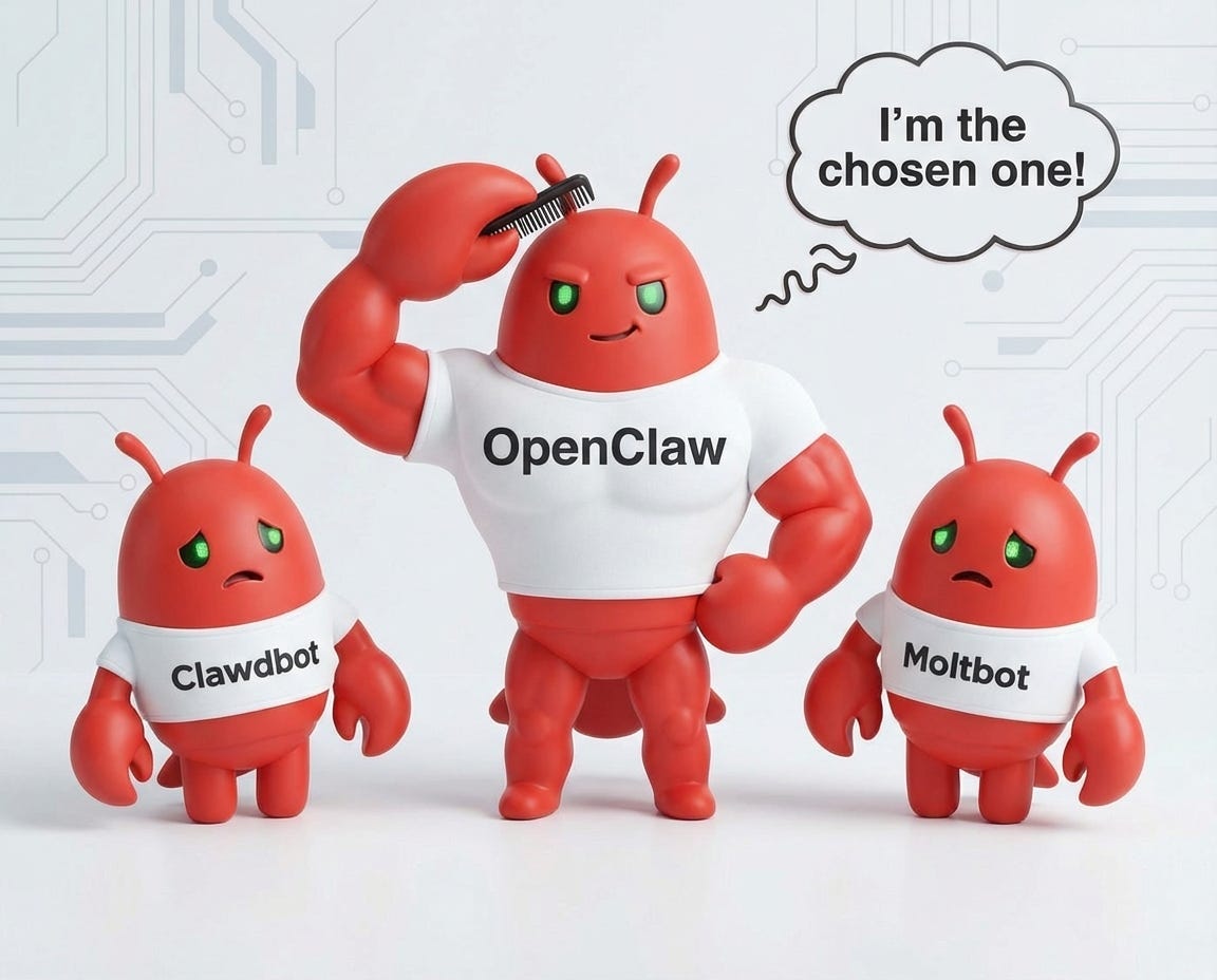 Understanding the Basics: Open Claw and Claude - visual representation