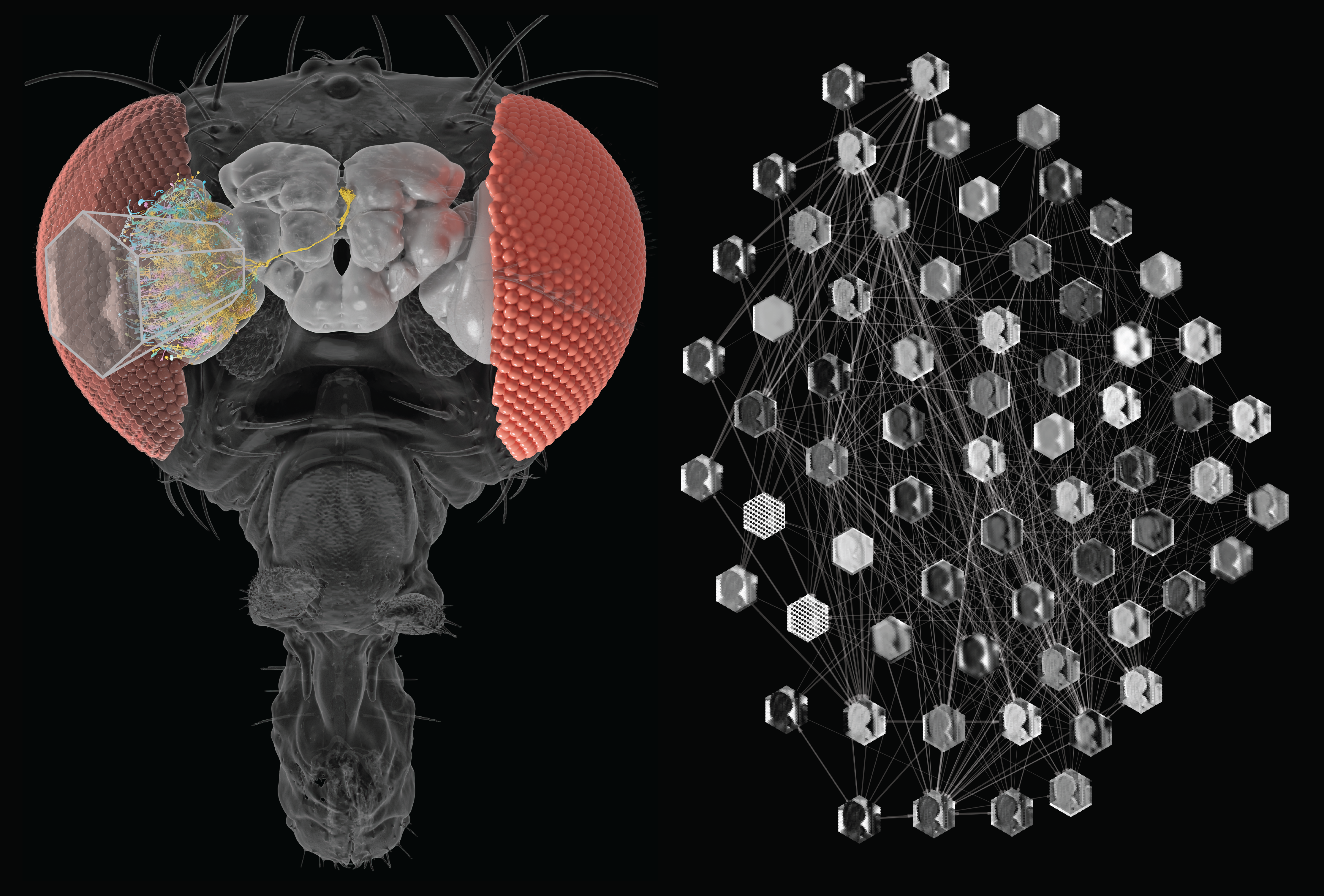 Future Trends in Biologically Inspired AI - visual representation