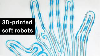 Security and Dual-Use Concerns - visual representation