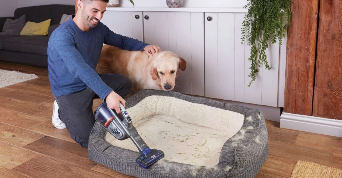 Here are our favorite spring cleaning deals from Amazon’s Big Spring Sale | The Verge