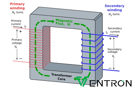The Money: Serious Capital, Serious Expectations - visual representation