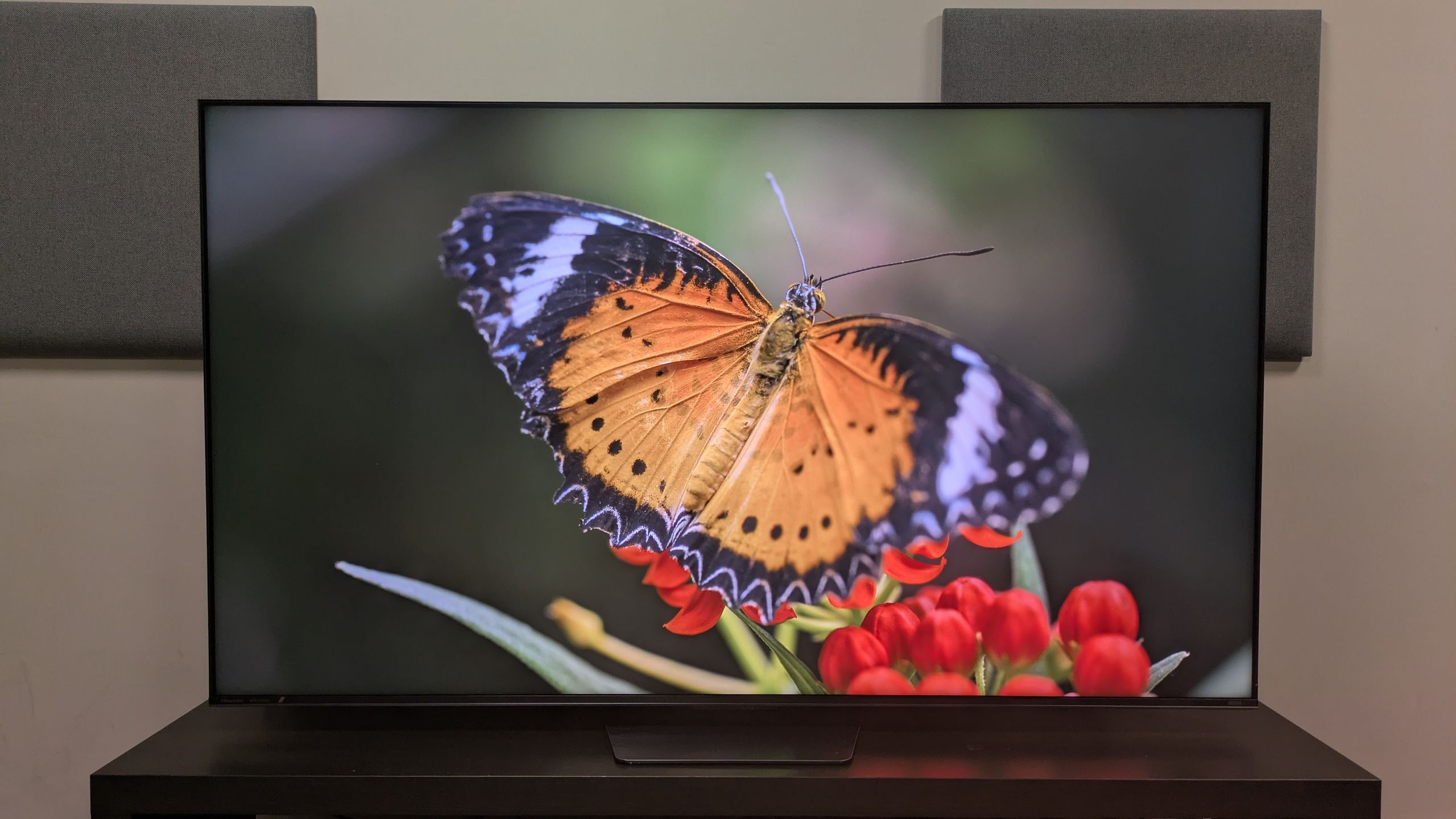Hisense UR8 review: solid performance, but not an OLED-killer | TechRadar