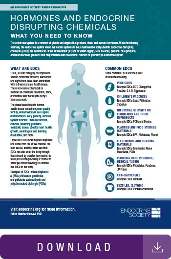 Understanding Hormone-Disrupting Chemicals - contextual illustration