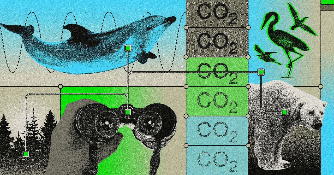 How a Citizen Science Organization Aims to Preserve the Places It Brings Tourists to Study | WIRED