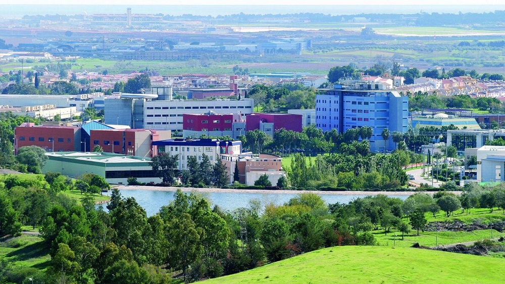 Educational Partnerships: The University of Málaga's Role - visual representation