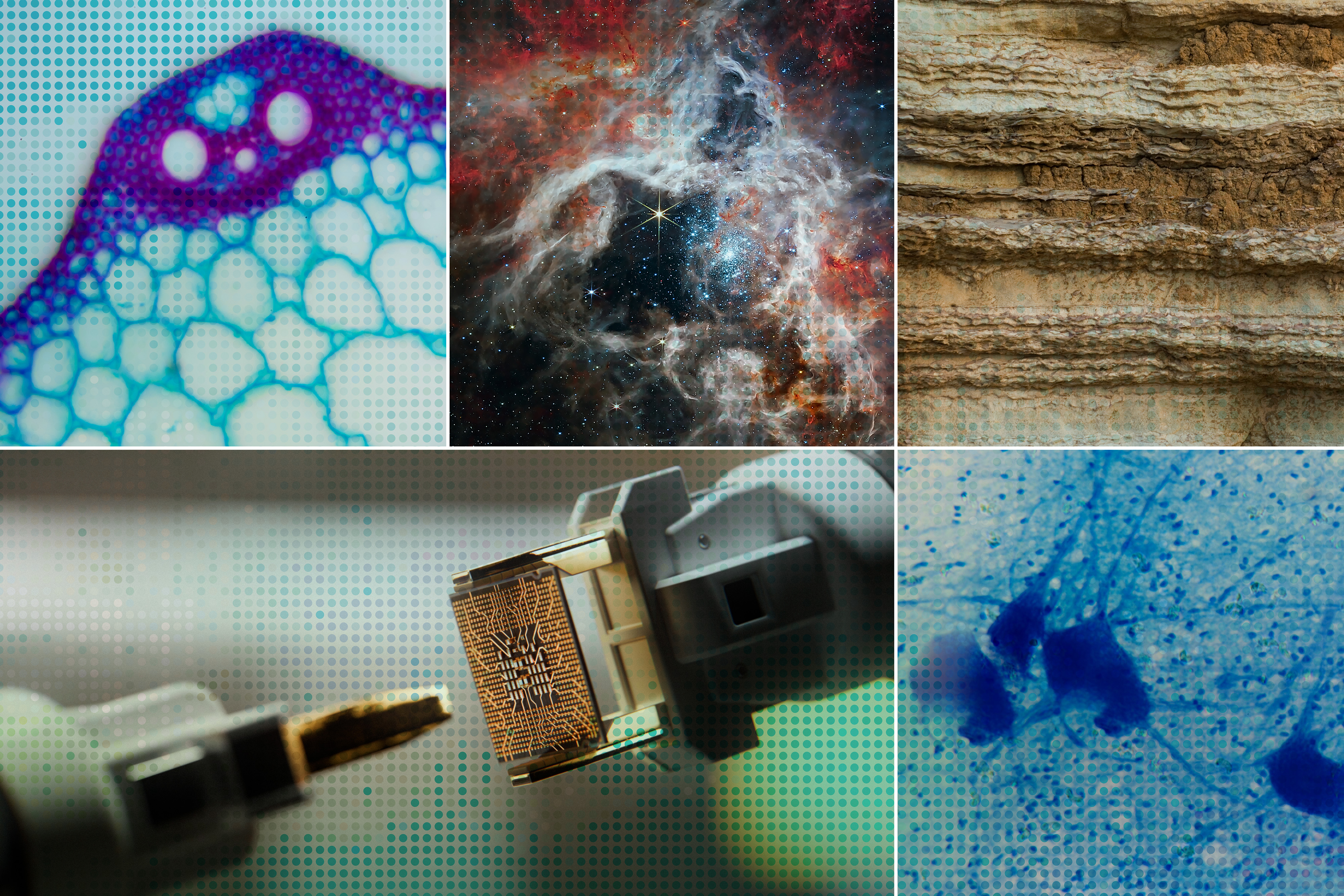 The Economic Impact: Who Saves What - visual representation