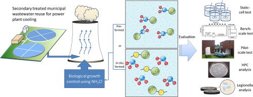 The Problem of Bacterial Growth - visual representation