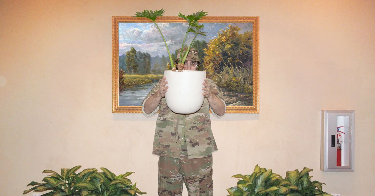 How American Camouflage Conquered the World | WIRED