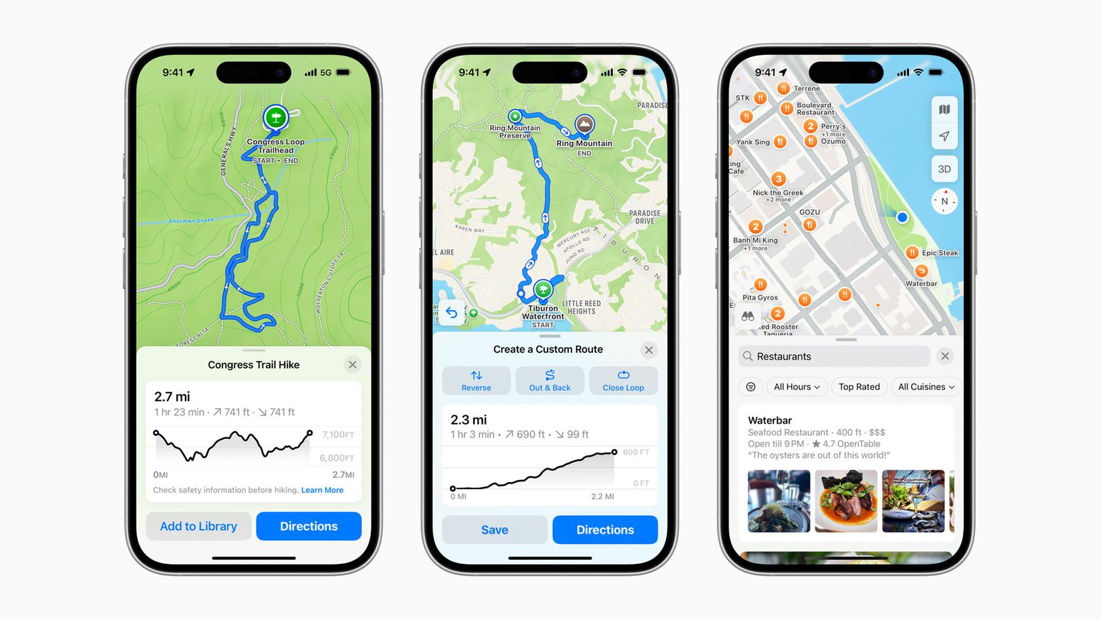 The Rise of Apple Maps - visual representation