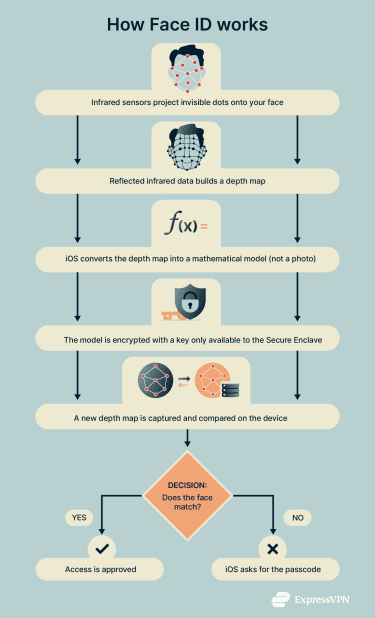 How Biometric Authentication Works - visual representation