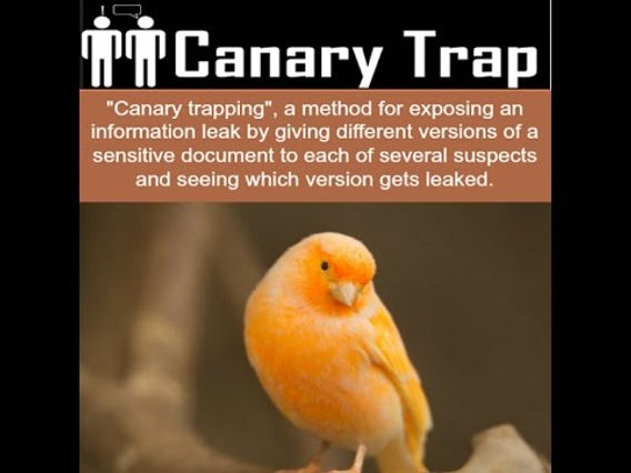 Understanding Canary Traps - contextual illustration