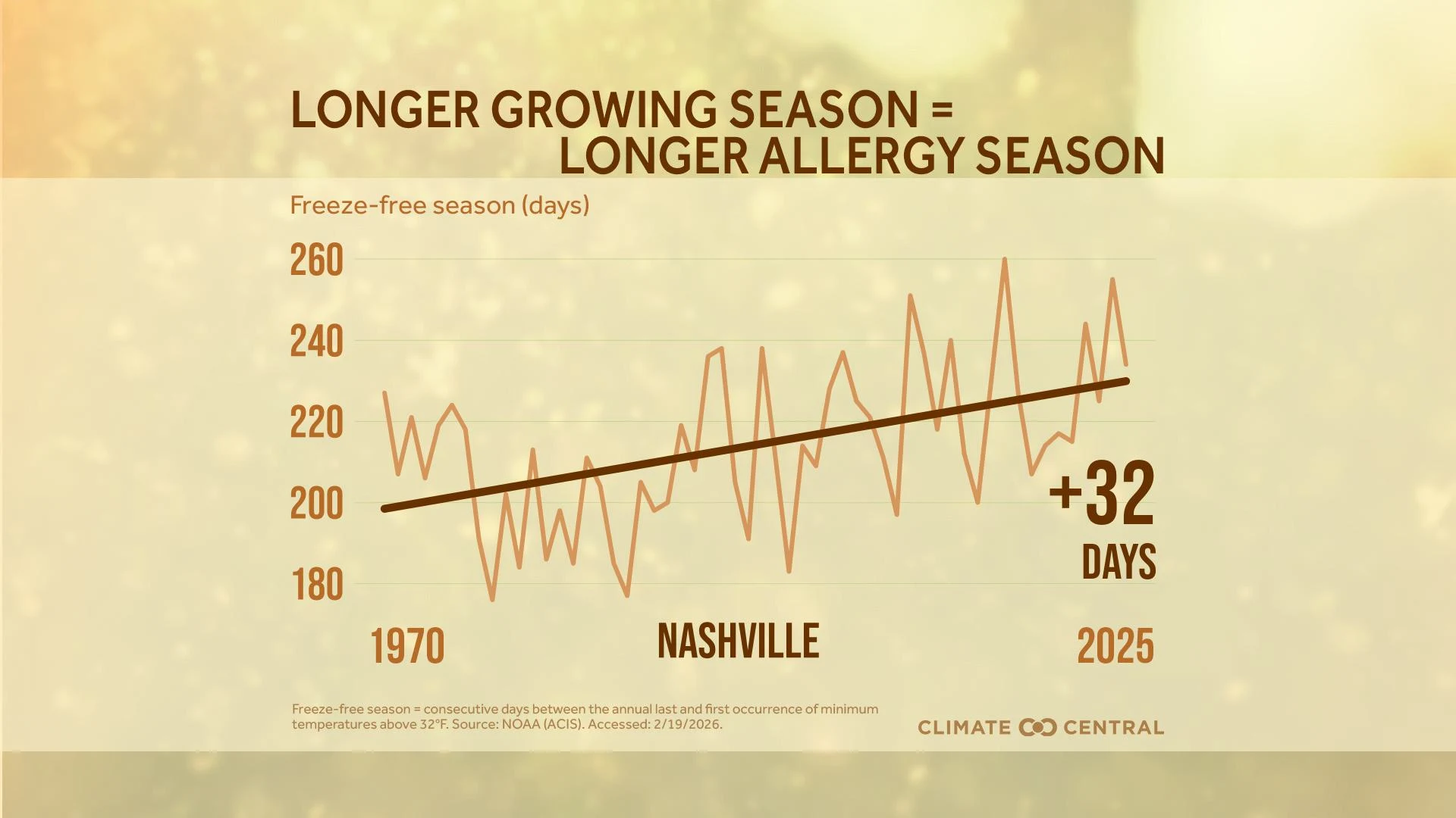 Health Impacts of Worsened Allergies - visual representation