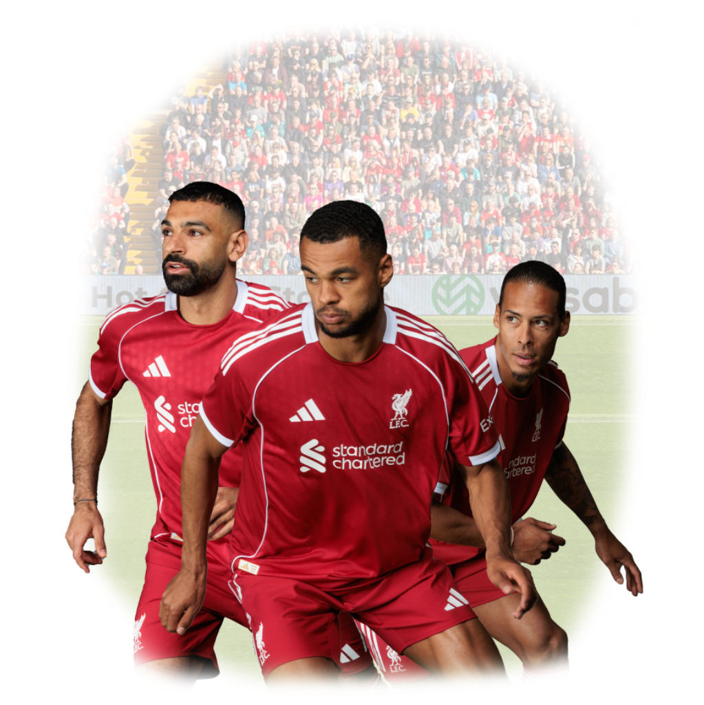 Implementation Roadmap: How to Start Your Own Transformation - visual representation