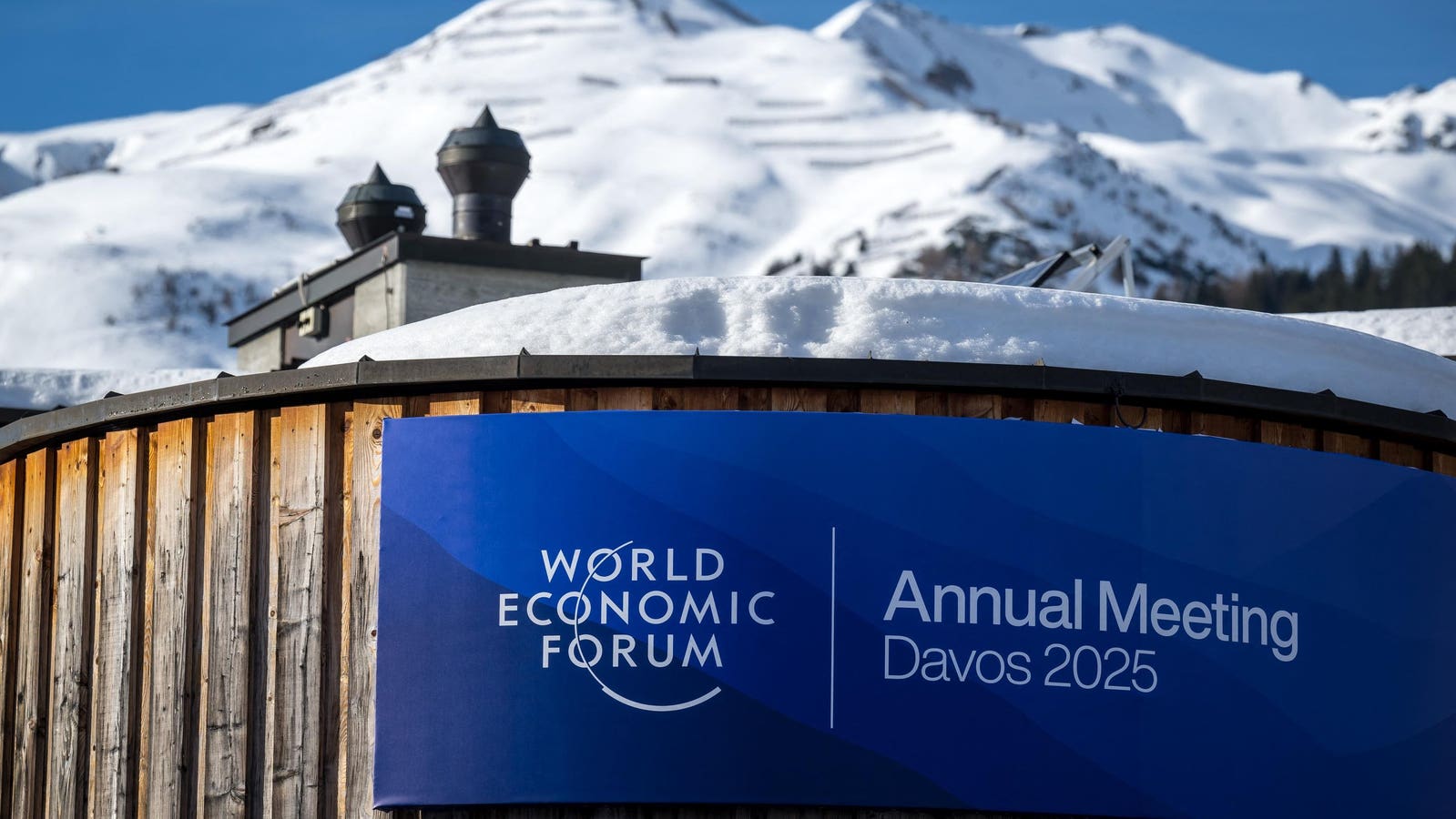 The Conversations That Defined Davos 2025 - visual representation