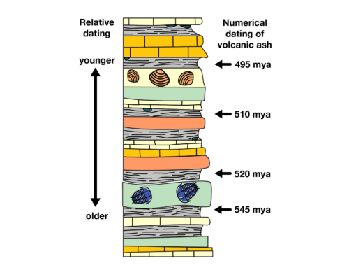 Understanding Eggshell Chemistry: Why Calcium Carbonate Works - visual representation