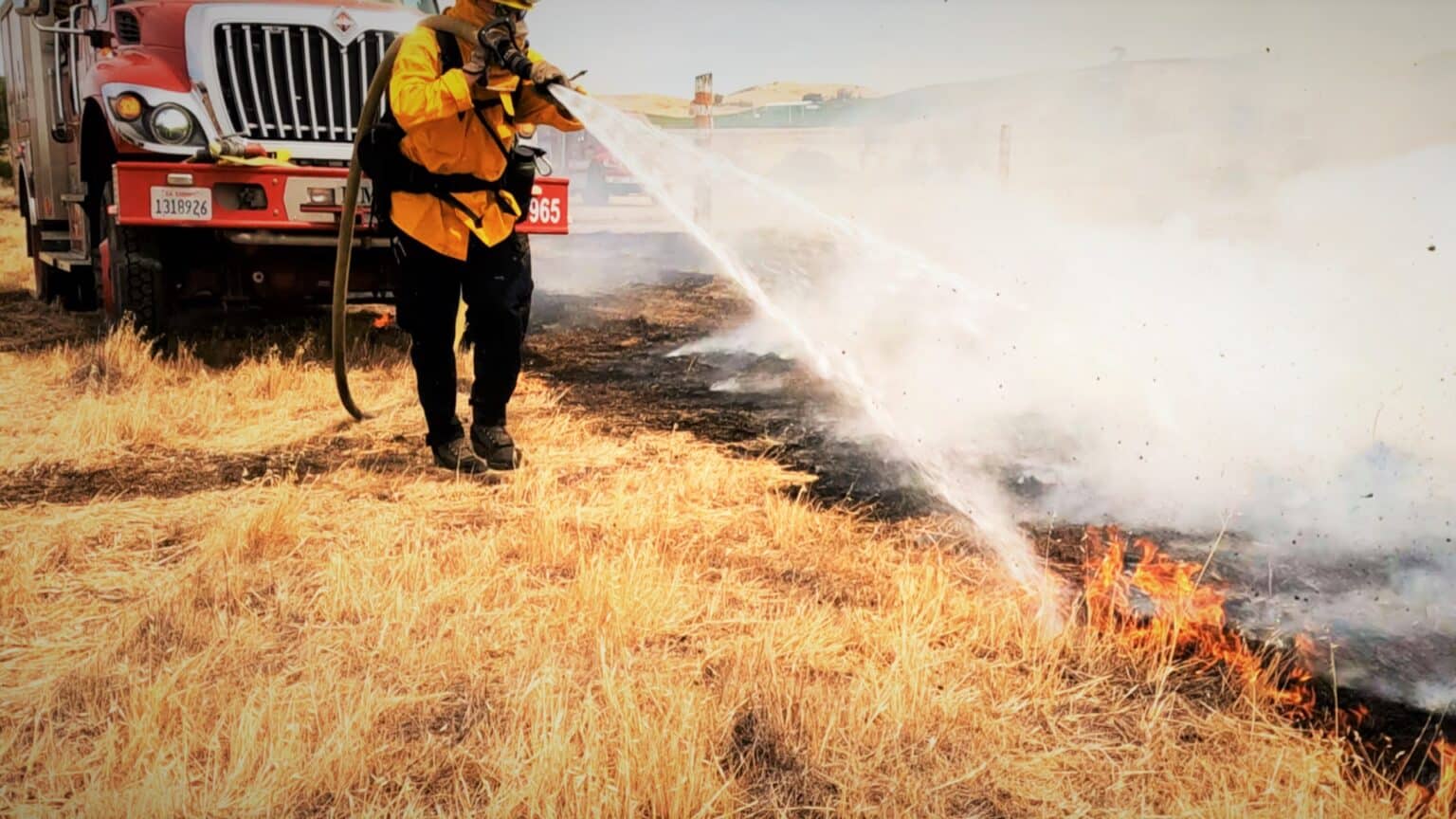 The Founder Psychology Behind This - visual representation