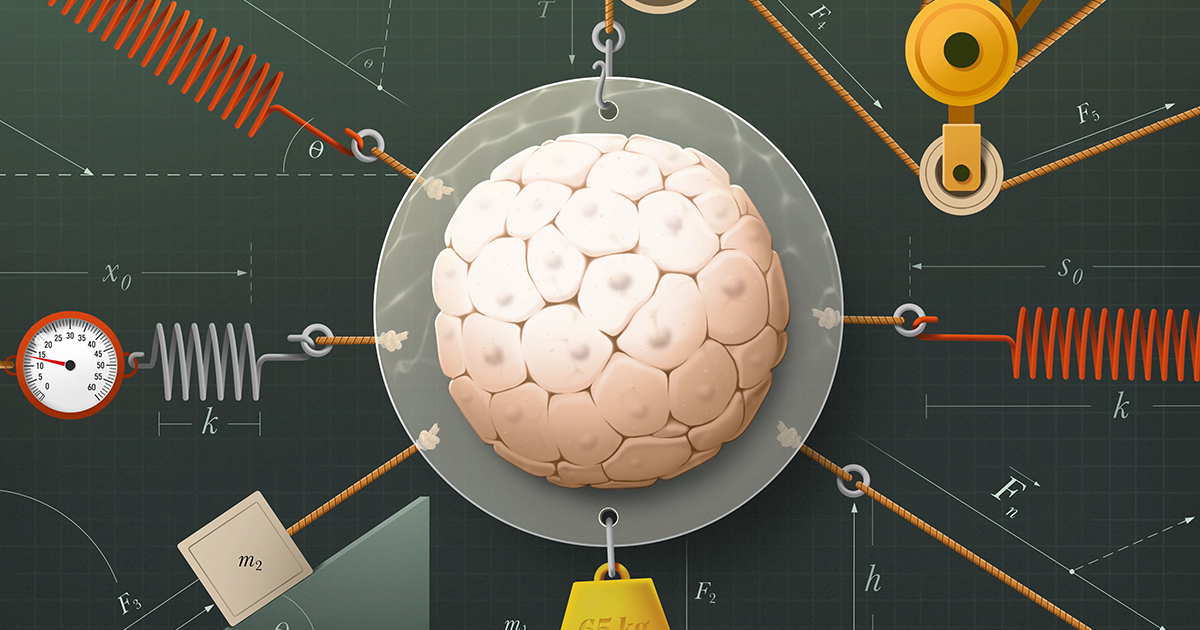 The Delay Problem in Real-Time Cognition - visual representation