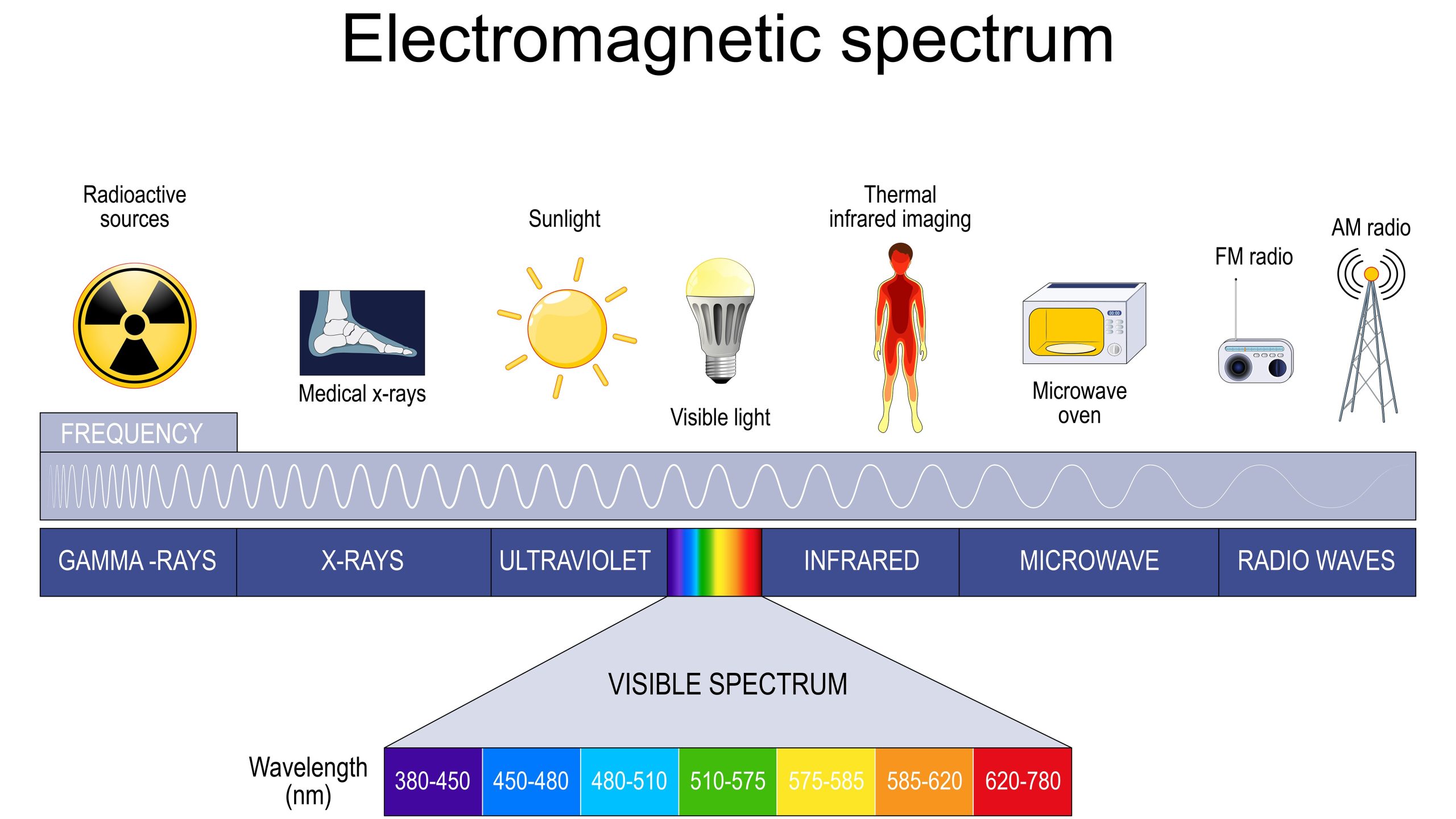 Could Human Bodies Generate Radio Waves? - visual representation
