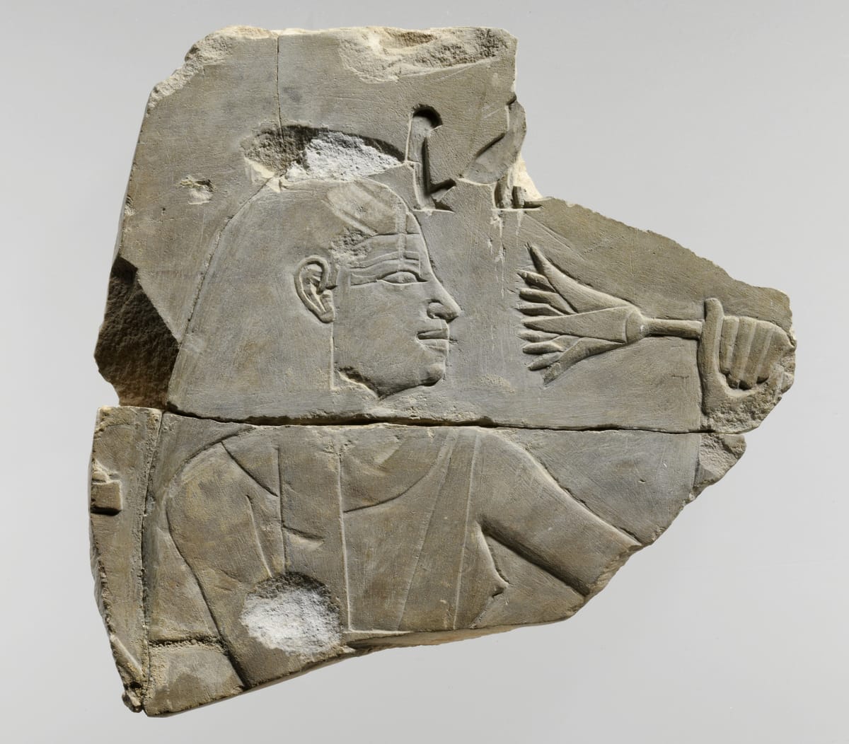 The Neuroscience of Smell and Memory - visual representation