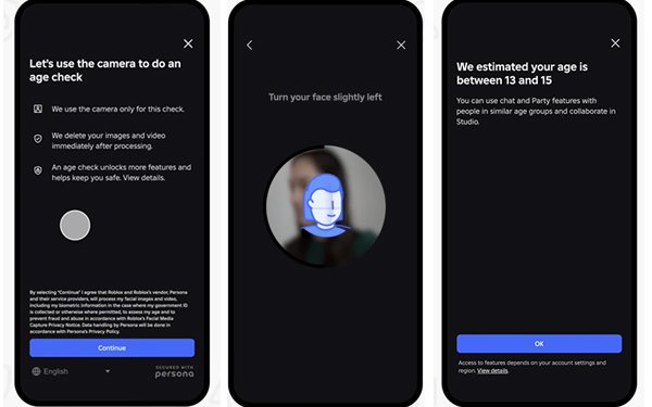 The Broader Picture: Age Verification as Industry Standard - visual representation