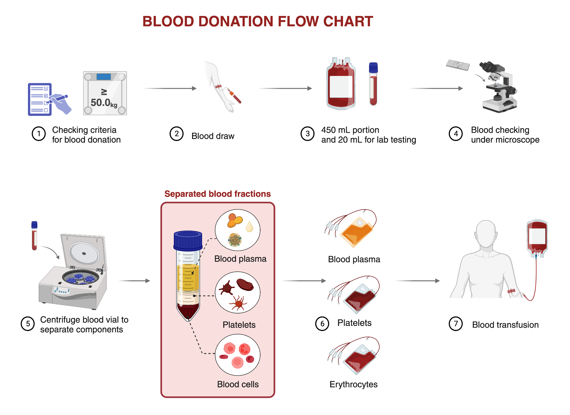 The Anxiety of Blood Donation - visual representation