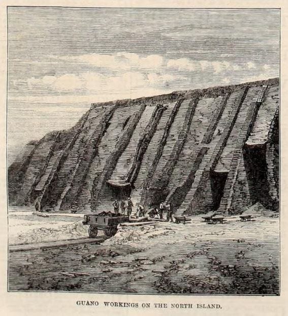 The Archaeological Detective Work: How Scientists Proved Guano Use - visual representation