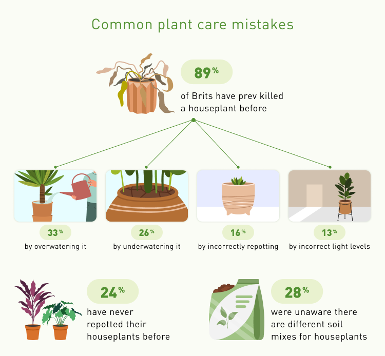 Enter Smart Sensors: A Game Changer for Plant Care - visual representation