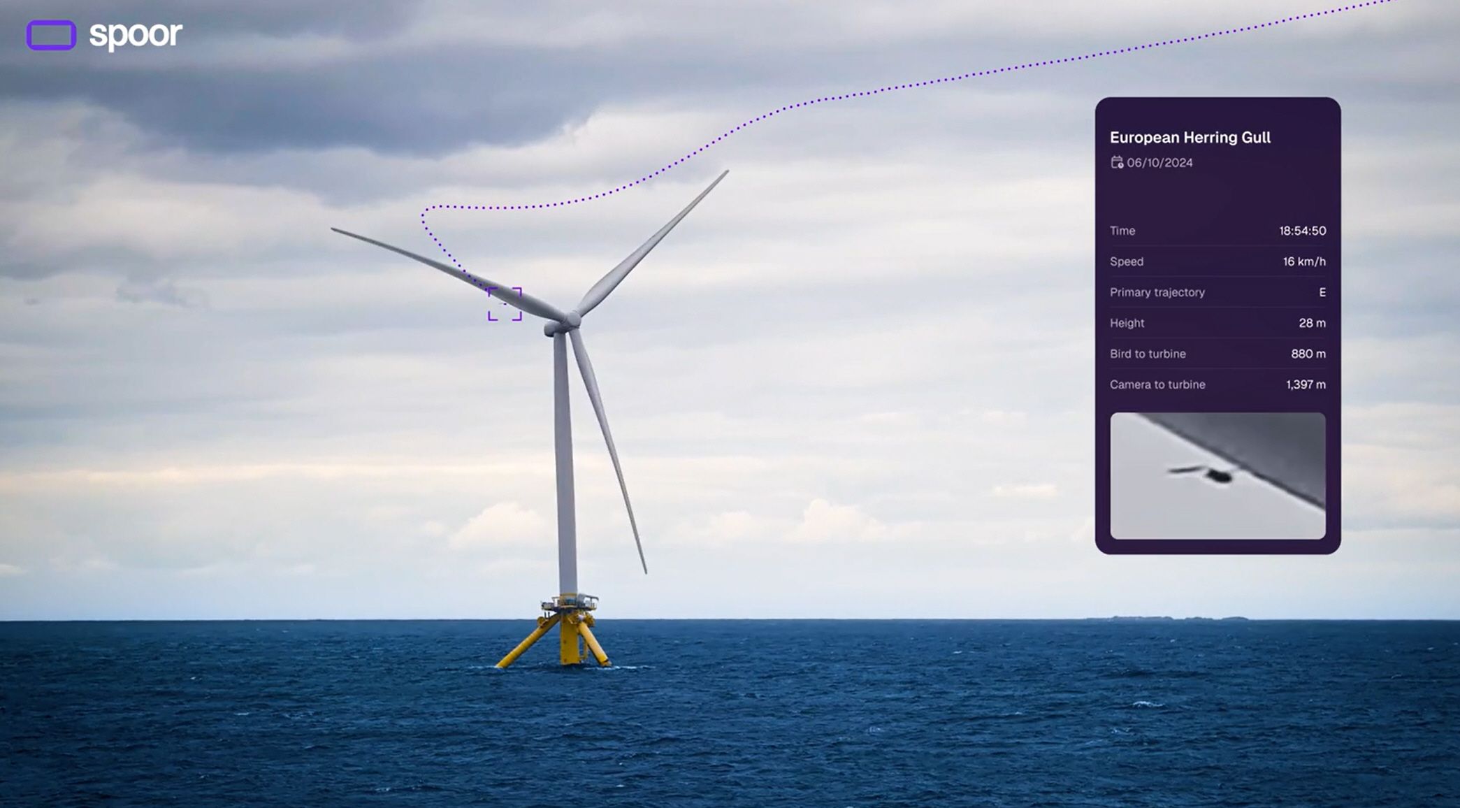How Spoor uses AI to track birds and improve wind farm planning | TechRadar