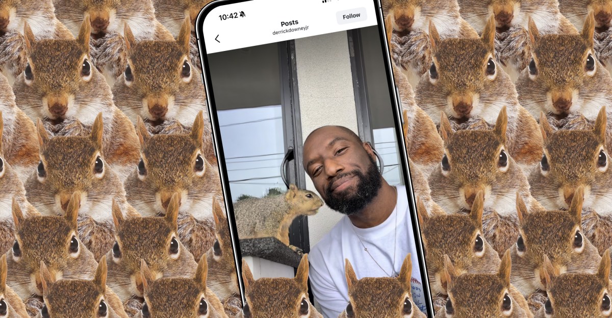 How the internet’s favorite squirrel dad made a hit camera app | The Verge