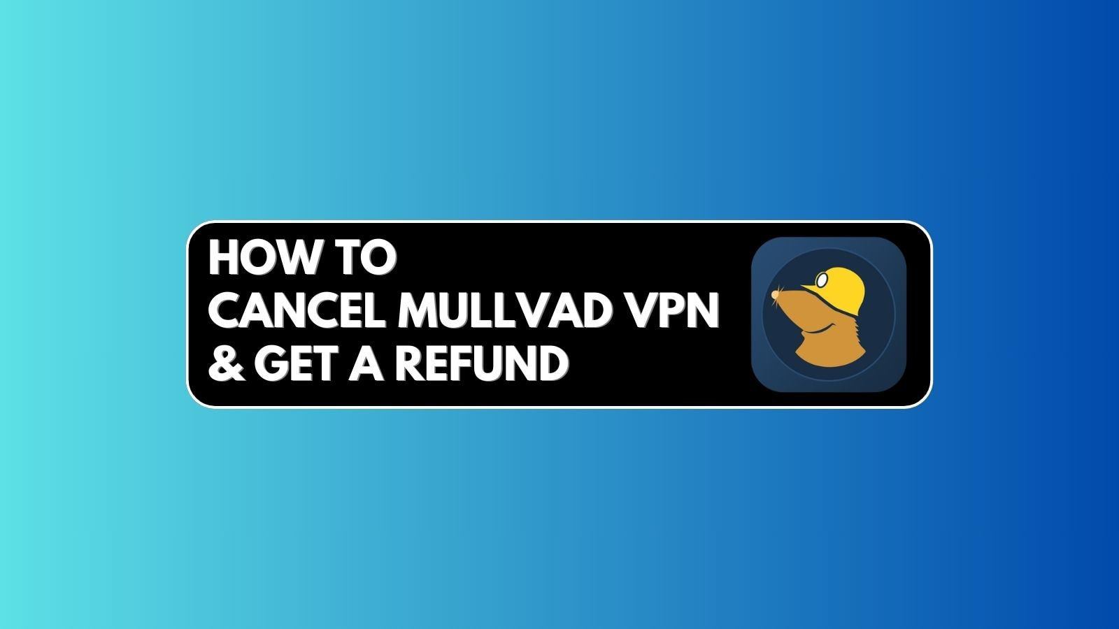 Legacy Accounts: If You Signed Up Before Mid-2022 - visual representation