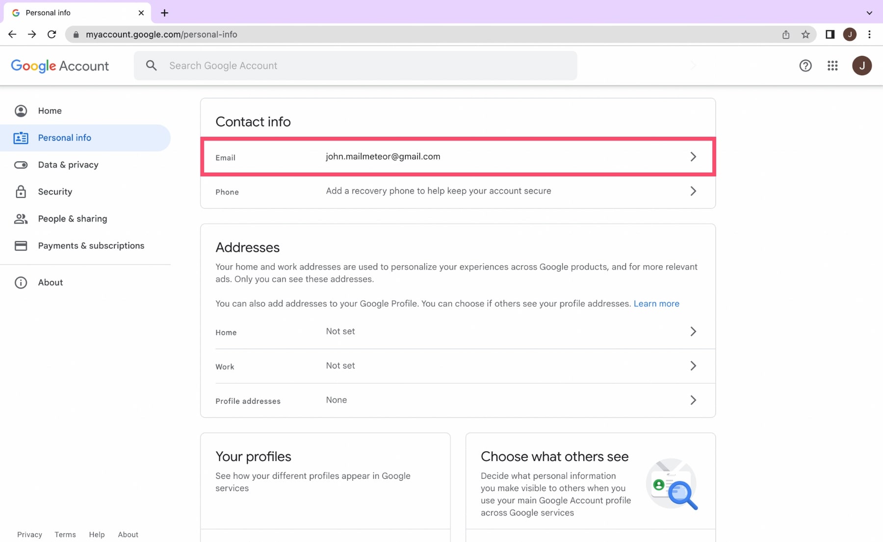 Long-Term Implications and Future Features - visual representation