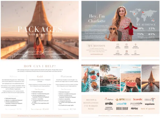 Advanced: Taking Your Media Kit to the Next Level - visual representation