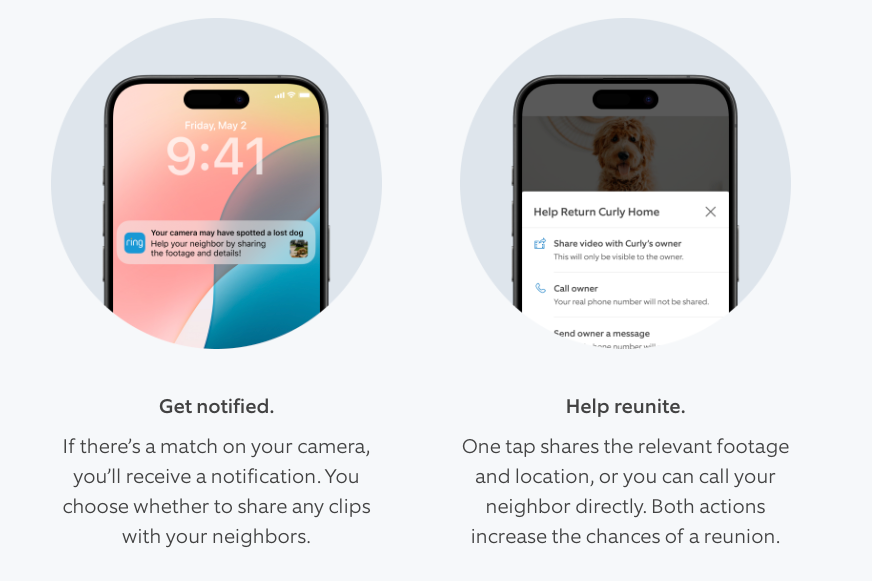 The Future of Surveillance Networks - visual representation