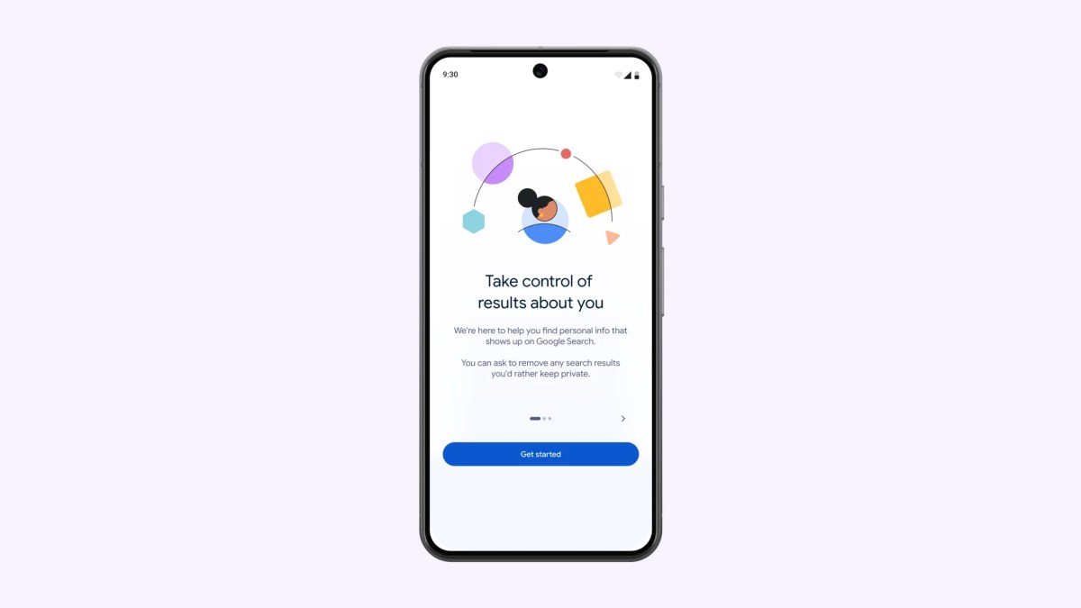 The Bigger Picture: Privacy in the Age of Search - visual representation