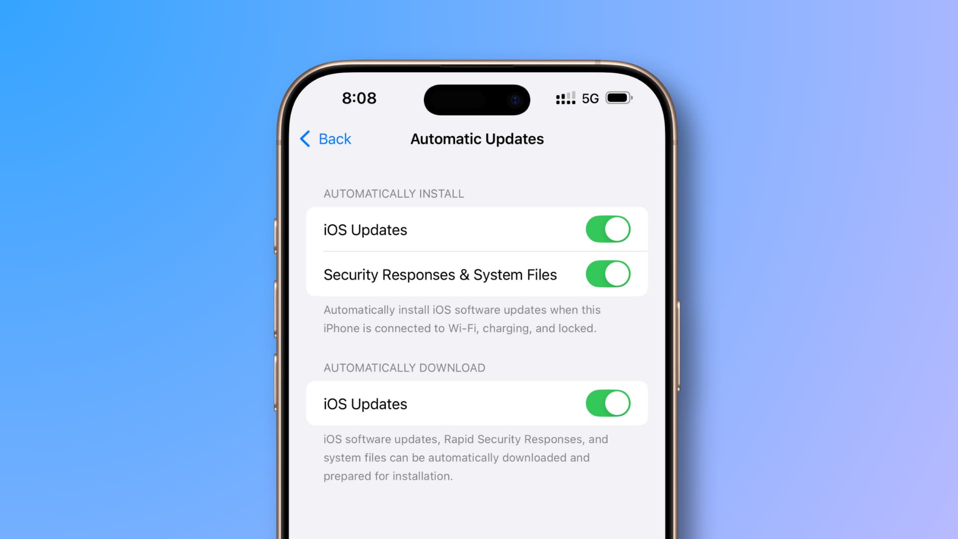 How to Enable Automatic Updates - visual representation