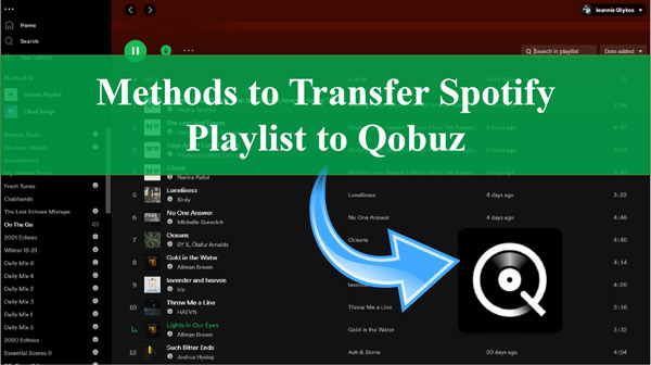 Troubleshooting: What to Do When Things Go Wrong - visual representation