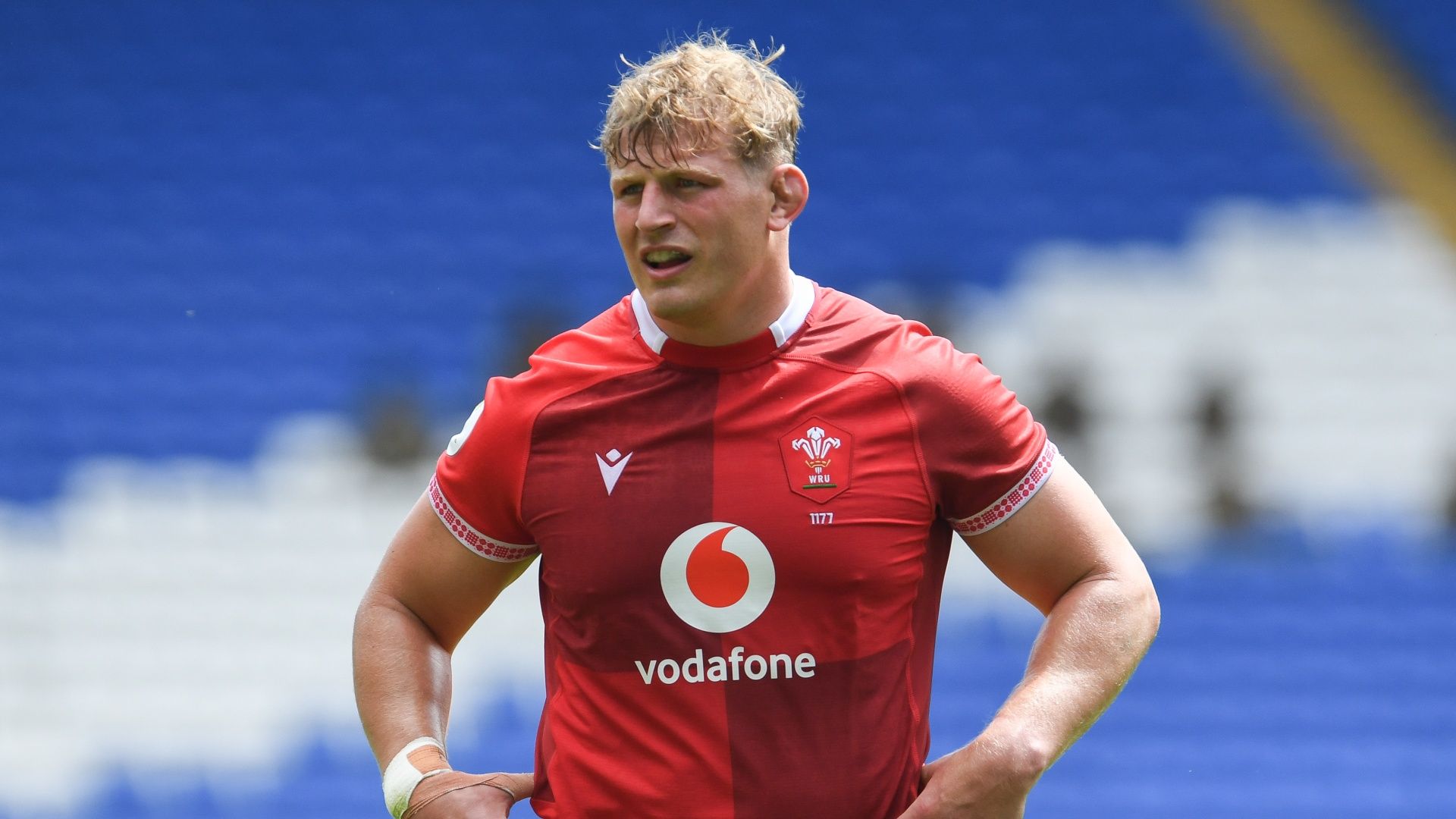 How to watch Argentina vs Wales for FREE: Live streams and TV channels | TechRadar