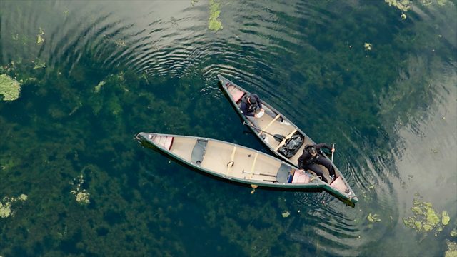 FAQ - visual representation