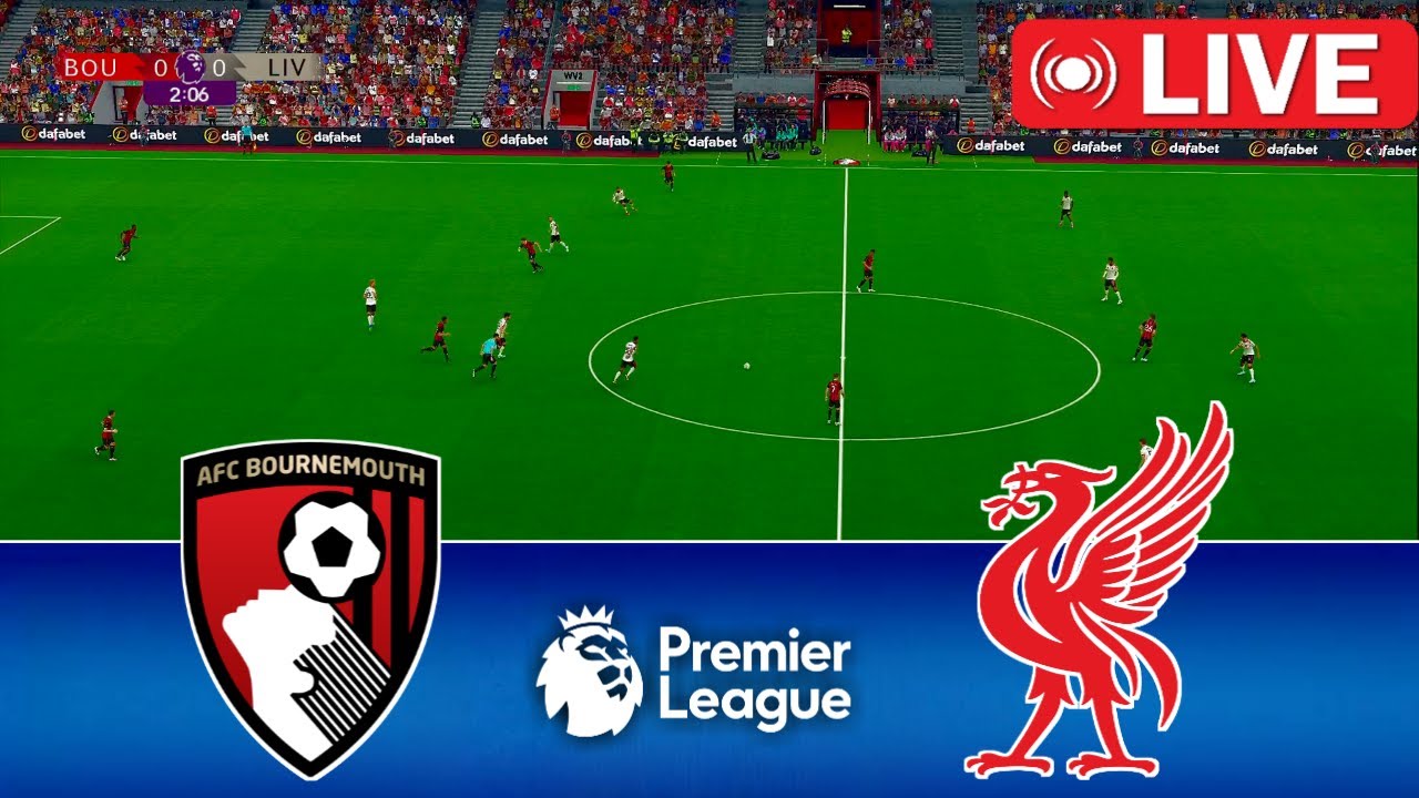 Comparing Streaming Platforms: Feature Comparison Table - visual representation