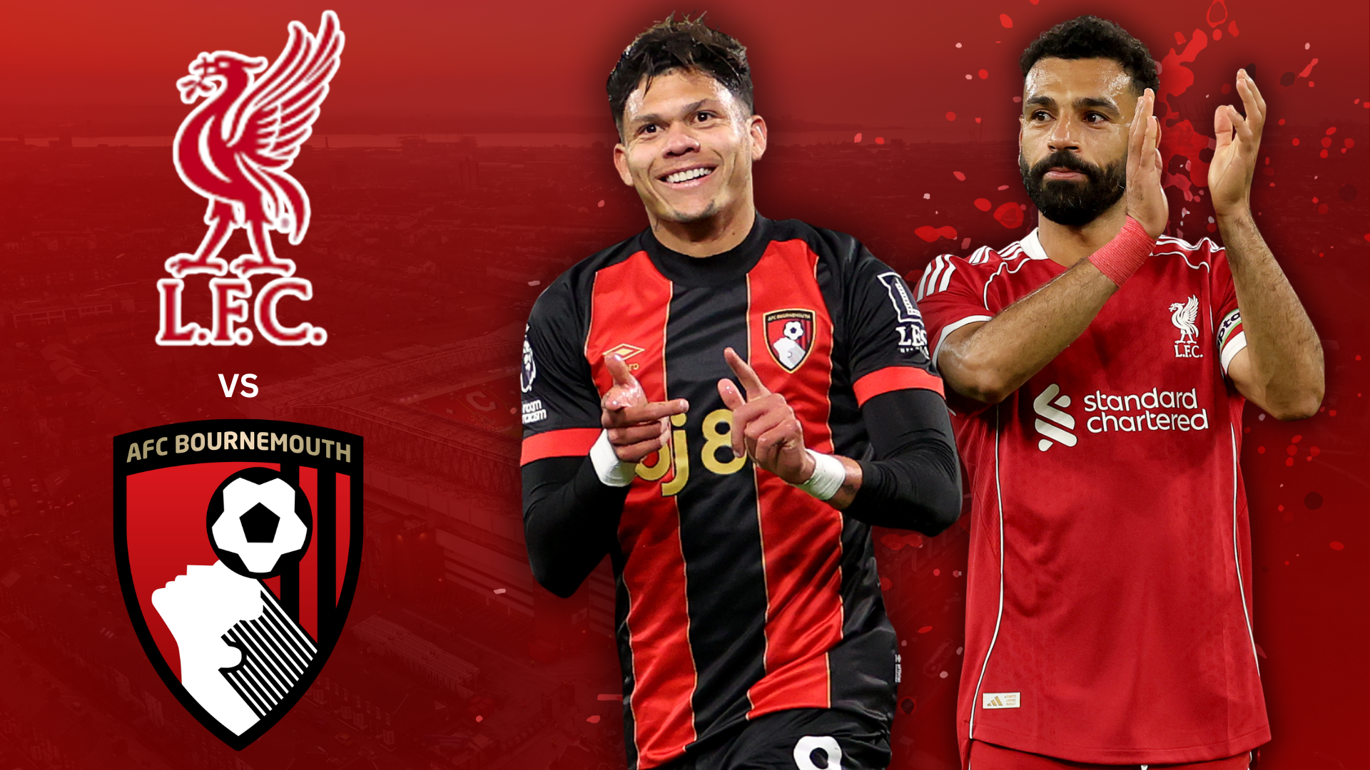 Device Setup and Application Installation - visual representation