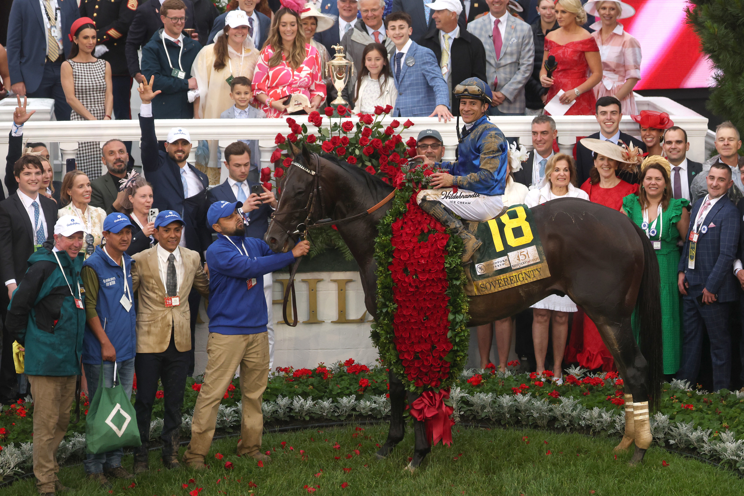 Expert Opinions and Recommendations - visual representation